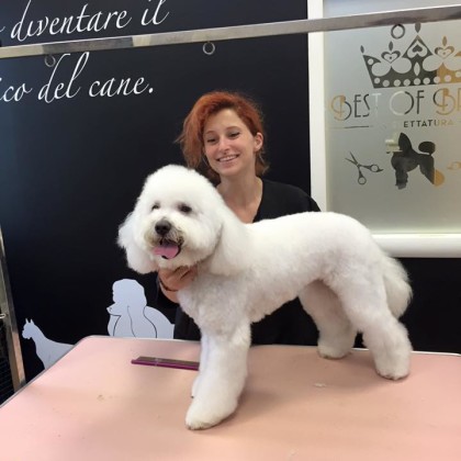 Michela con Bichon Frisè