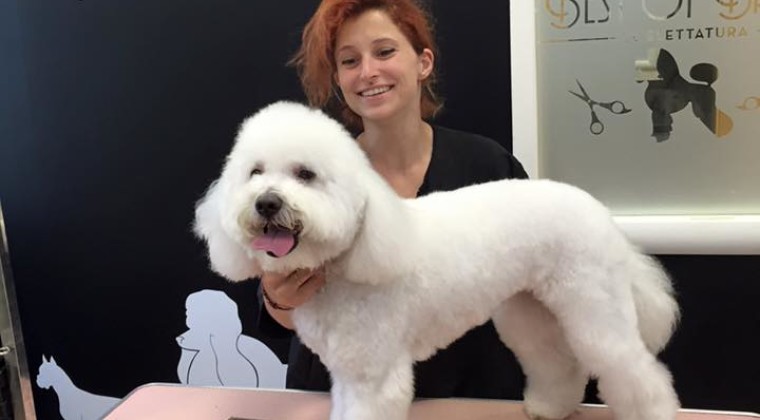 Michela con Bichon Frisè