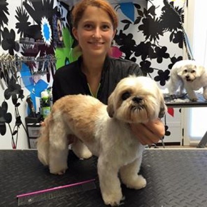 Michela con Shih-Tzu