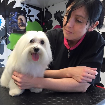 Stefania con maltese toelettato