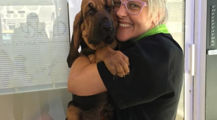 Giusy con un tenero bloodhound