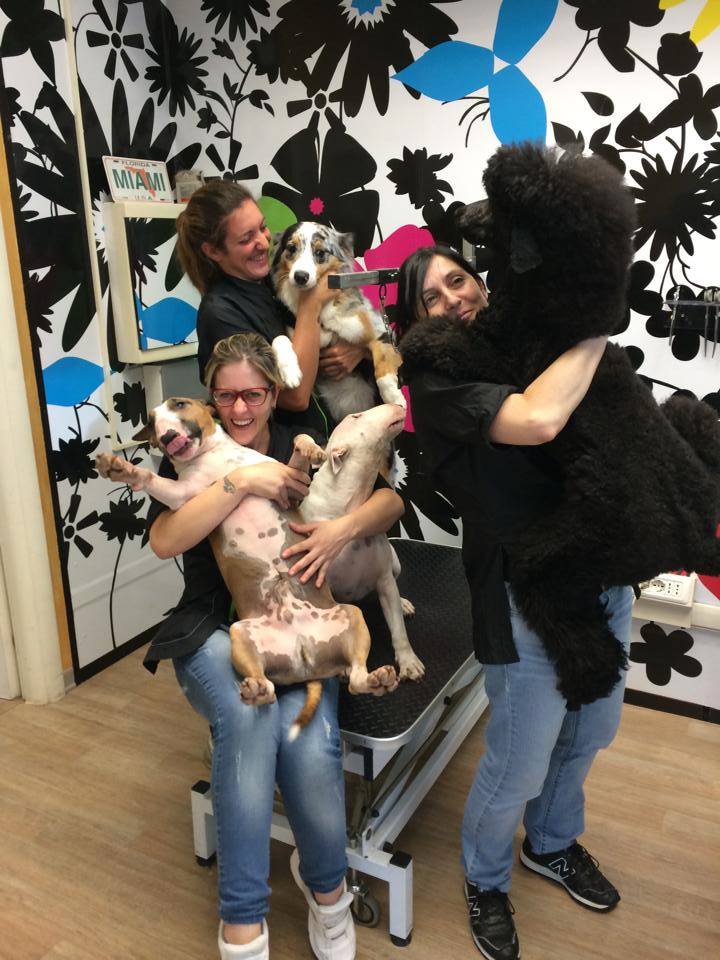 Regali Per Toelettatura Per Cani Borsa Per Trucco Regalo Per Toelettatore